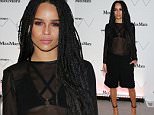 NEW YORK, NY - APRIL 24:  Zoe Kravitz, wearing Max Mara, attends the Max Mara, presenting sponsor's, celebration of the opening of The Whitney Museum Of American Art at it's new location on April 24, 2015 in New York City.  (Photo by Neilson Barnard/Getty Images for Max Mara)