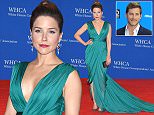 WASHINGTON, DC - APRIL 25:  Sophia Bush attends the 101st Annual White House Correspondents' Association Dinner at the  Washington Hilton on April 25, 2015 in Washington, DC.  (Photo by Michael Loccisano/Getty Images)