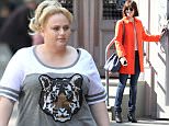 137756, Rebel Wilson wears a tiger print t-shirt while filming for 'How To Be Single' in the SoHo, NYC. New York, New York - Tuesday May 26, 2015. Photograph: LGjr-RG, © PacificCoastNews. Los Angeles Office: +1 310.822.0419 sales@pacificcoastnews.com FEE MUST BE AGREED PRIOR TO USAGE
