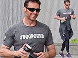 EXCLUSIVE TO INF...June 9, 2015: Hugh Jackman goes for an early morning run in New York City wearing a "#DOGPOUND" t-shirt...Mandatory Credit: Ordonez/papjuice/INFphoto.com Ref: infusny-160/286