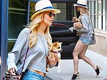 EXCLUSIVE: Jennifer Lawrence was spotted house shopping this afternoon with her dog in New York City, New York.

Pictured: Jennifer Lawrence
Ref: SPL1050684  100615   EXCLUSIVE
Picture by: Blayze / Splash News

Splash News and Pictures
Los Angeles: 310-821-2666
New York: 212-619-2666
London: 870-934-2666
photodesk@splashnews.com