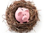 Take care of their own savings. Nest with piggy bank.