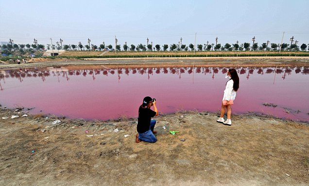 The 'Dead Sea of China' blushes with incredible and dazzling pink colour