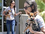 EXCLUSIVE: Demi Moore leaves a veterinarian's office after a check up for her puppy.\n\nPictured: Demi Moore\nRef: SPL1061326  260615   EXCLUSIVE\nPicture by: MRM / Splash News\n\nSplash News and Pictures\nLos Angeles: 310-821-2666\nNew York: 212-619-2666\nLondon: 870-934-2666\nphotodesk@splashnews.com\n