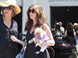 Picture Shows: Lisa Vanderpump, Lisa Rinna  July 16, 2015\n \n Reality stars Lisa Rinna and Lisa Vanderpump go shopping together while they film a scene for their show "The Real Housewives of Beverly Hills" in Los Angeles, California.\n \n Exclusive All Rounder\n UK RIGHTS ONLY\n \n Pictures by : FameFlynet UK © 2015\n Tel : +44 (0)20 3551 5049\n Email : info@fameflynet.uk.com