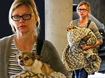 EXCLUSIVE TO INF.\nJuly 16, 2015: Calista Flockhart is seen taking her adorable dog to the vet in Los Angeles, California.\nMandatory Credit: Sasha Lazic/INFphoto.com Ref: infusla-257