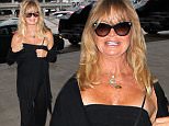 Goldie Hawn wore black for her flight out of LAX.  The iconic actress smiled for photos, aging gracefully, on Saturday, July 18, 2015 X17online.com