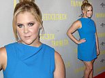 Amy Schumer at the Trainwreck premiere in Melbourne, Australia July 21, 2015. Media-Mode/Simon Woodcock\n21 July 2015\n©MEDIA-MODE.COM
