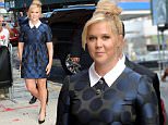 Picture Shows: Amy Schumer  August 03, 2015\n \n 'Trainwreck' star Amy Schumer visits 'The Daily Show' in New York City, New York. Amy is one of the three final guests for host Jon Stewart. \n \n Non-Exclusive\n UK RIGHTS ONLY\n \n Pictures by : FameFlynet UK © 2015\n Tel : +44 (0)20 3551 5049\n Email : info@fameflynet.uk.com