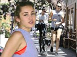 Picture Shows: Miley Cyrus  August 03, 2015\n \n Singer/actress Miley Cyrus and a friend spotted out and about with their dogs in Calabasas, California.\n \n Exclusive All Rounder\n UK RIGHTS ONLY\n FameFlynet UK © 2015\n Tel : +44 (0)20 3551 5049\n Email : info@fameflynet.uk.com