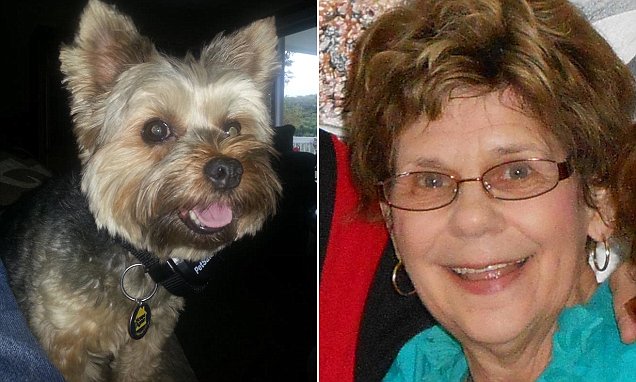 Dottie Fisher's Yorkshire Terrier saved her life after detecting blood clot in her heart