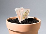Reap rewards: Watch your smaller pension pot grow