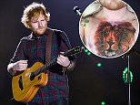Ed Sheeran at Fusion Festival 2015 at Cofton Park in Birmingham - Friday\nFeaturing: Ed Sheeran\nWhere: Birmingham, United Kingdom\nWhen: 28 Aug 2015\nCredit: James Watkins/WENN.com