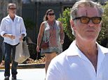 Pierce Brosnan was sporting some battle damage hile out shopping with the wife in Malibu.  The action star was also weraing orange tinted shooting glasses, with a white button-uo and jeans, on Thursday, September 3, 2015 X17online.com