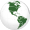 Americas (orthographic projection).svg