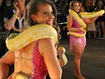 Hollywood, CA - Bindi Irwin was in her element as she posed with a snake ahead of the season 21 premiere of 'Dancing With The Stars'. The 17-year-old daughter of Steve Irwin was fearless and handled the snake like a pro. Bindi was joined by dancing pros Mark Ballas, Val Chmerkovskiy and Louis van Amstel.\nAKM-GSI         September 10, 2015\nTo License These Photos, Please Contact :\nSteve Ginsburg\n(310) 505-8447\n(323) 423-9397\nsteve@akmgsi.com\nsales@akmgsi.com\nor\nMaria Buda\n(917) 242-1505\nmbuda@akmgsi.com\nginsburgspalyinc@gmail.com