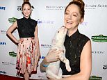 LOS ANGELES, CA - SEPTEMBER 11:  Actress Judy Greer attends the MTAC 2015 Art Festival at The Autry National Center on September 11, 2015 in Los Angeles, California.  (Photo by Michael Kovac/Getty Images for More Than A Cone)