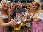 MUNICH, GERMANY - SEPTEMBER 19:  Revelers raise their beer glasses at the Schottenhamel beer tent on the opening day of the 2015 Oktoberfest on September 19, 2015 in Munich, Germany. The 182nd Oktoberfest will be open to the public from September 19 through October 4 and will draw millions of visitors from across the globe in the world's largest beer fest.  (Photo by Alexander Hassenstein/Getty Images)
