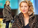 EXCLUSIVE FAO DAILY MAIL ONLINE GBP 40 PER PICTURE\n Mandatory Credit: Photo by Startraks Photo/REX Shutterstock (5225646e)\n Blake Lively\n Blake Lively spotted on the set of an untitled Woody Allen film, New York, America - 07 Oct 2015\n Blake Lively Spotted on the Set of An Untitled Woody Allen Film in New York\n
