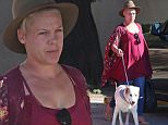 EXCLUSIVE. Coleman-Rayner. Santa Barbara, CA, USA.\nOctober 10, 2015\nA makeup free Pink is spotted taking her dog to the veterinarian over the weekend. The pop singer went casual in a loose fitting top, jeans, and hat during the outing.\nCREDIT LINE MUST READ: Coleman-Rayner\nTel US (001) 310-474-4343- office\nTel US (001) 323-545-7584 - Mobile\nwww.coleman-rayner.com