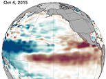 The latest analyses from the National Oceanic and Atmospheric Administration and from NASA confirm that El Niño is strengthening and it looks a lot like the strong event that occurred in 1997?98. Observations of sea surface heights and temperatures, as well as wind patterns, show surface waters cooling off in the Western Pacific and warming significantly in the tropical Eastern Pacific.
?Whether El Niño gets slightly stronger or a little weaker is not statistically significant now. This baby is too big to fail,? said Bill Patzert, a climatologist at NASA?s Jet Propulsion Laboratory. October sea level height anomalies show that 2015 is as big or bigger in heat content than 1997. ?Over North America, this winter will definitely not be normal. However, the climatic events of the past decade make ?normal? difficult to define.?
The maps above show a comparison of sea surface heights in the Pacific Ocean as observed at the beginning of October in 1997 and 2015. The measurements come from al