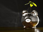 A stock photo of a piggy bank with plant growing inside.

 Image by © Roy Botterell/Corbis