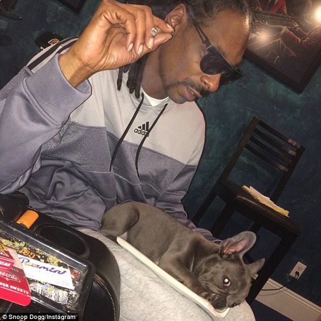 In the beginning: The adorable pooch, seen here three months ago, has been winning fans worldwide thanks to his presence on the rapper's Instagram
