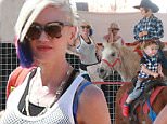 Picture Shows: Kingston Rossdale, Gwen Stefani, Apollo Rossdale  October 24, 2015\n \n Singer, Gwen Stefani takes her boys Kingston, Zuma and Apollo to Shawn's Pumpkin Patch in Los Angeles, California. The boys had a good time riding ponies and Gwen bought Kingston a bird.\n \n Non-Exclusive\n UK RIGHTS ONLY\n \n Pictures by : FameFlynet UK © 2015\n Tel : +44 (0)20 3551 5049\n Email : info@fameflynet.uk.com