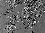 Mysterious patterns and pits found on Pluto
