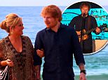 Ed Sheeran Home And Away\n