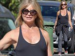 Picture Shows: Goldie Hawn  November 03, 2015
 
 Actress, Goldie Hawn is spotted out for a stroll with a friend in Brentwood, California. Goldie, who claims to be retired as an actress has spent her last couple of years enjoying time with her family.
 
 Exclusive - All Round
 UK RIGHTS ONLY
 
 Pictures by : FameFlynet UK © 2015
 Tel : +44 (0)20 3551 5049
 Email : info@fameflynet.uk.com