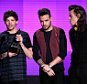 LOS ANGELES, CA - NOVEMBER 22:  (L-R) Singers Niall Horan, Louis Tomlinson, Liam Payne, and Harry Styles of One Direction accept Artist of the Year award onstage during the 2015 American Music Awards at Microsoft Theater on November 22, 2015 in Los Angeles, California.  (Photo by Kevin Winter/Getty Images)