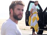 EXCLUSIVE: December 5th 2015  Exclusive \nLiam Hemsworth shirtless changing out of his wetsuit after surfing with friends in Malibu California. Liam has been growning his beard out. Liam was very happy after surfing & even stuck out his middle finger at friends passing by. \n\nPictured: liam hemsworth\nRef: SPL1190400  051215   EXCLUSIVE\nPicture by: Ability Films / Splash News\n\nSplash News and Pictures\nLos Angeles: 310-821-2666\nNew York: 212-619-2666\nLondon: 870-934-2666\nphotodesk@splashnews.com\n