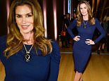 TORONTO, ON - DECEMBER 10:  Model Cindy Crawford attends Saks Fifth Avenue private cocktail and Q & A with Fern Mallis at AGO on December 10, 2015 in Toronto, Canada.  (Photo by George Pimentel/WireImage)