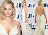 NEW YORK, NY - DECEMBER 13:  Jennifer Lawrence attends the "Joy" New York premiere at the Ziegfeld Theater on December 13, 2015 in New York City.  (Photo by D Dipasupil/FilmMagic)