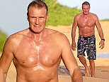 EXCLUSIVE: A shirtless Dolph Lungren is still in great great shape at 58 as he walks the beach in Hawaii.

Pictured: Dolph Lundgren
Ref: SPL1199930  271215   EXCLUSIVE
Picture by: Splash News

Splash News and Pictures
Los Angeles: 310-821-2666
New York: 212-619-2666
London: 870-934-2666
photodesk@splashnews.com
