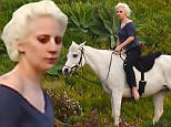 *PREMIUM EXCLUSIVE* **MUST CALL FOR PRICING** Malibu, CA - We all know Lady Gaga is an impeccable singer and great actress, but she is also an equestrian master! This afternoon, we spotted the Globo Awards winner enjoying her afternoon riding a stunning white stallion! Barefooted and keeping her ensemble simple, Gaga enjoyed the sightseeing views and just relaxed for a few minutes.\nAKM-GSI    January  28, 2016\nTo License These Photos, Please Contact :\nSteve Ginsburg\n(310) 505-8447\n(323) 423-9397\nsteve@akmgsi.com\nsales@akmgsi.com\nor\nMaria Buda\n(917) 242-1505\nmbuda@akmgsi.com\nginsburgspalyinc@gmail.com