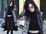 Kendall Jenner Goes To Cafe Alfred in West Hollywood\n\nPictured: Kendall Jenner\nRef: SPL1219843  020216  \nPicture by: Photographer Group / Splash News\n\nSplash News and Pictures\nLos Angeles: 310-821-2666\nNew York: 212-619-2666\nLondon: 870-934-2666\nphotodesk@splashnews.com\n