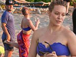 *EXCLUSIVE* Maui, HI - Hilary Duff just finalized her divorce with Mike Comrie only a few days ago, but there seems no love lost between the two. The 28-year-old singer enjoyed a Hawaiian sunset with her ex-husband and father of her child, Mike Comrie. They both seemed very friendly and surrounded themselves with family and friends on the tropical beach.\\n\\nAKM-GSI         February 7, 2016\\n\\nTo License These Photos, Please Contact :\\n\\nSteve Ginsburg\\n(310) 505-8447\\n(323) 423-9397\\nsteve@akmgsi.com\\nsales@akmgsi.com\\n\\nor\\n\\nMaria Buda\\n(917) 242-1505\\nmbuda@akmgsi.com\\nginsburgspalyinc@gmail.com
