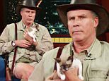 Published on Feb 7, 2016\nThe Late Show doesn¿t have an animal expert yet, so why shouldn¿t it be Will Ferrell?