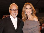 DUESSELDORF, GERMANY - NOVEMBER 22: Celine Dion and Rene Angelil attend the 'BAMBI Awards 2012' at the Stadthalle Duesseldorf on November 22, 2012 in Duesseldorf, Germany.   (Photo by Franziska Krug/Getty Images)