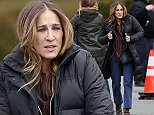 01.March.2015 - New York City - USA\n**EXCLUSIVE ALL ROUND PICTURES**\n*** STRICTLY AVAILABLE FOR UK AND GERMANY USE ONLY ***\nSarah Jessica Parker filming "Divorce" a new TV series.  In this scene Sarah is picking up furniture at an estate sale.  Sarah's hands were looking a little rough being cold and dry.\nBYLINE MUST READ : AKM-GSI-XPOSURE\n***UK CLIENTS - PICTURES CONTAINING CHILDREN PLEASE PIXELATE FACE PRIOR TO PUBLICATION ***\n*UK CLIENTS MUST CALL PRIOR TO TV OR ONLINE USAGE PLEASE TELEPHONE 0208 344 2007*\n