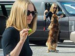 *EXCLUSIVE* Los Angeles, CA - A curvy Amanda Seyfried feeds her dog Finn some tasty veggies while on a break between filming scenes for her new film 'The Last Word' in Los Angeles. \n AKM-GSI   March  2, 2016\nTo License These Photos, Please Contact :\nSteve Ginsburg\n(310) 505-8447\n(323) 423-9397\nsteve@akmgsi.com\nsales@akmgsi.com\nor\nMaria Buda\n(917) 242-1505\nmbuda@akmgsi.com\nginsburgspalyinc@gmail.com