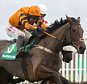 Thistlecrack ridden by Tom Scudamore clear the last flight to go on and win the bet365 Long Distance Hurdle Race run during Hennessy Gold Cup Day at Newbury Race Course, Newbury.