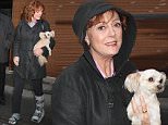 Susan Sarandon, wearing a boot/walking cast on her left foot and carrying her dog, was spotted chatting with Radioman (Craig Cataldo) as she was leaving 'The View' studios\nFeaturing: Susan Sarandon\nWhere: New York City, New York, United States\nWhen: 28 Mar 2016\nCredit: WENN.com\n**Only available for publication in UK, Germany, Austria, Switzerland, Italy, Australia. No Internet Use. Not available for Subscribers**