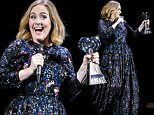 Adele wins an award whilst on stage in Birmingham as she wraps her UK tour. Adele was presented the iHeartRadio music awards gong for best song and gave an acceptance speech mid concert at the Genting Arena in Birmingham as she wraps her UK Tour this week.
Featuring: Adele Adkins
Where: Birmingham, United Kingdom
When: 31 Mar 2016
Credit: WENN.com