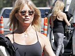 Picture Shows: Goldie Hawn  March 31, 2016\n \n Actress Goldie Hawn stops by her house that is under construction in Pacific Palisades, California. Goldie was rocking some casual work-out gear during the outing. \n \n Exclusive All Rounder\n UK RIGHTS ONLY\n \n UK Rights OnlyPictures by : FameFlynet UK © 2016\n Tel : +44 (0)20 3551 5049\n Email : info@fameflynet.uk.com