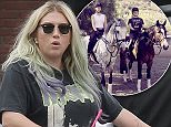 150319, EXCLUSIVE: Kesha spends a relaxing day biking with her boyfriend despite her Sony lawsuit appeal being denied by a judge. A New York judge threw out Kesha's appeal Wednesday in her case against Sony Music and producer Dr. Luke.  Los Angeles, California - Wednesday April 6, 2016. Photograph: ¬© ,  PacificCoastNews. Los Angeles Office: +1 310.822.0419 UK Office: +44 (0) 20 7421 6000 sales@pacificcoastnews.com FEE MUST BE AGREED PRIOR TO USAGE