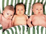 A stock photo of babies on bed.





AMX073 Bed Babies