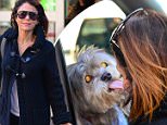 *EXCLUSIVE* New York, NY - Bethenny Frankel shares a kiss with her dog Cookie after some grocery shopping at Best Market in New York City. Bethenny handed her bags to her driver before giving her old fury friend a wet kiss through the window.\n \nAKM-GSI  April 14, 2016\nTo License These Photos, Please Contact :\nSteve Ginsburg\n(310) 505-8447\n(323) 423-9397\nsteve@akmgsi.com\nsales@akmgsi.com\nor\nMaria Buda\n(917) 242-1505\nmbuda@akmgsi.com\nginsburgspalyinc@gmail.com